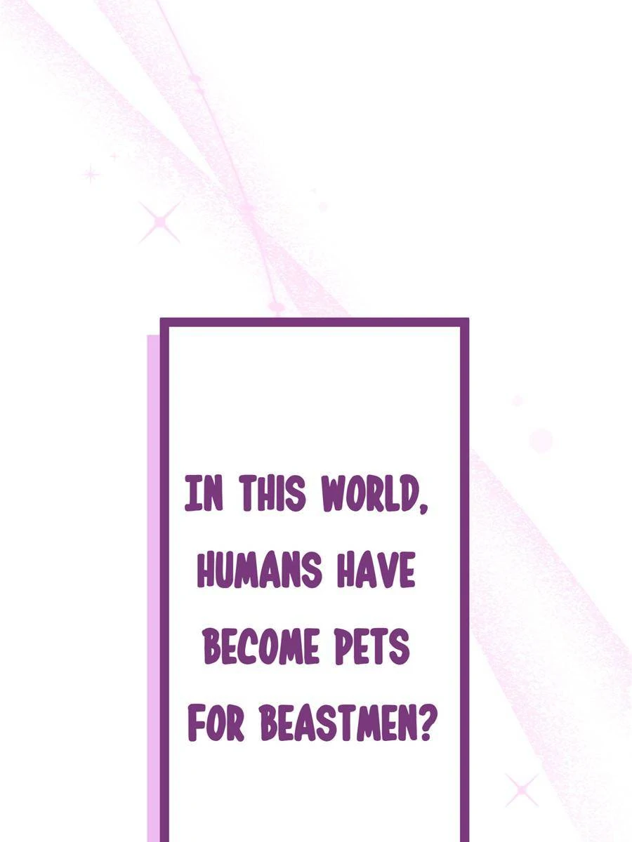 75773938 900 1200 37100