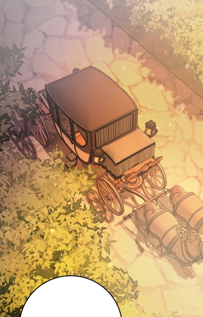 54356261 690 1080 525841